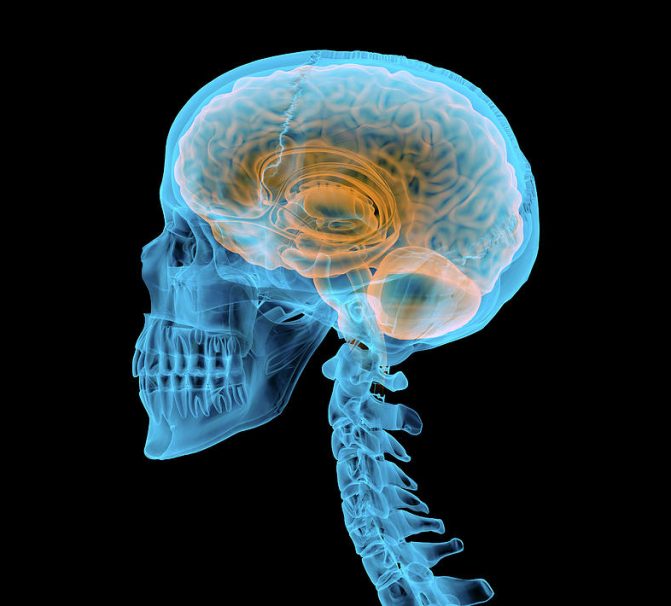 Neuro-linguistic Programming